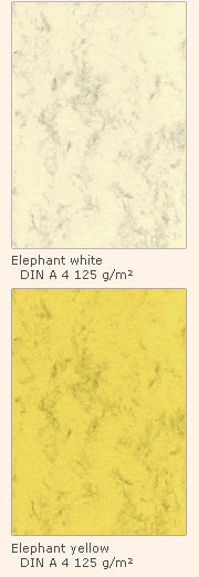 elephant white / Elephant yellow - Das Sortiment